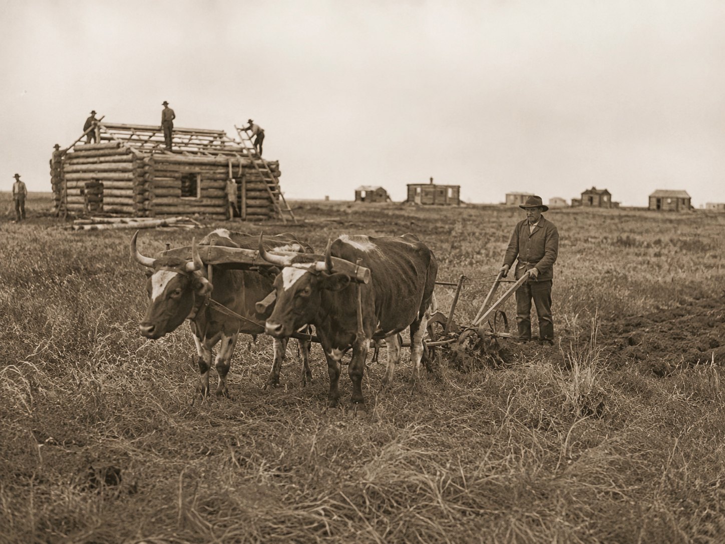 A homesteader breaking the tough prairie sod with an ox team, a log house rising behind — the making of a farm district.